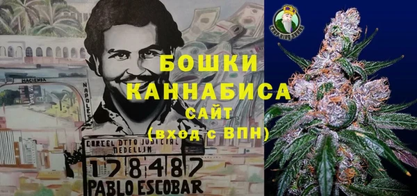 стаф Ладушкин