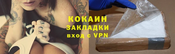 прущие грибы Кукмор