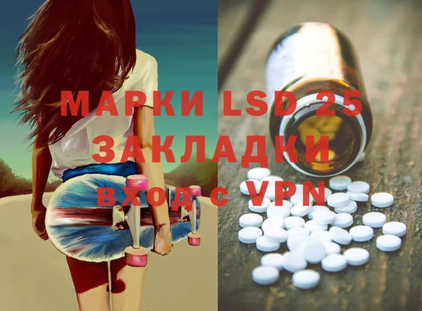 стаф Ладушкин