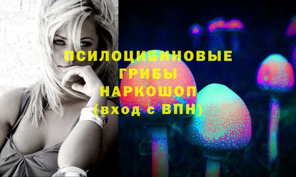 мдпв Кулебаки