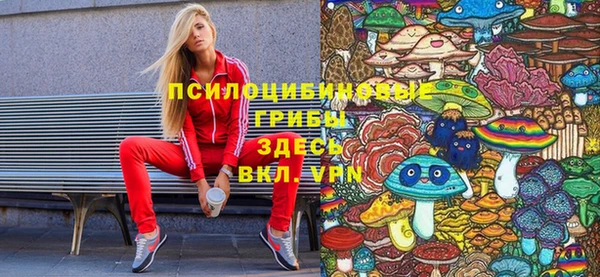 прущие грибы Кукмор