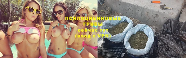 стаф Ладушкин