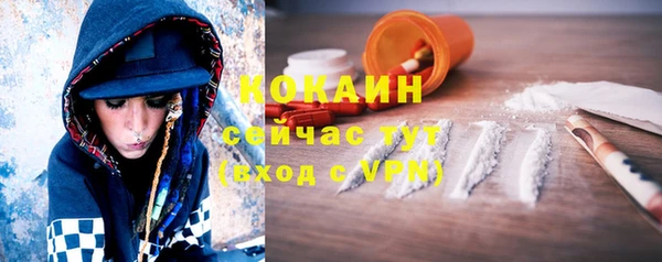 прущие грибы Кукмор