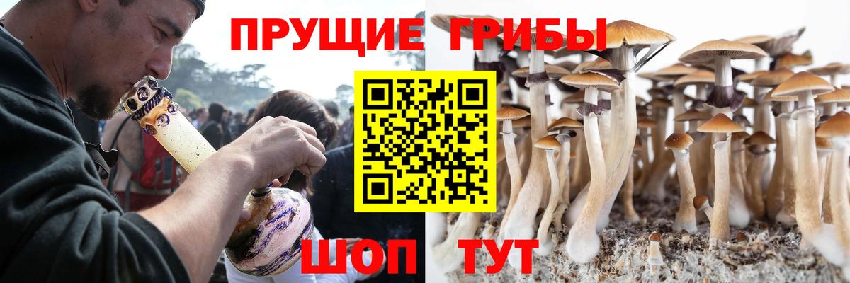 Псилоцибиновые грибы Psilocybine cubensis Лиски