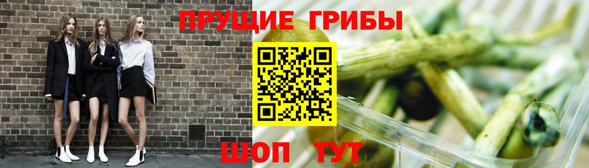 Галлюциногенные грибы ЛСД  Вход с VPN  Лиски 